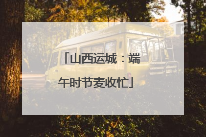 山西运城：端午时节麦收忙