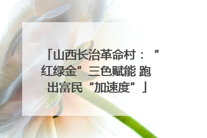 山西长治革命村：“红绿金”三色赋能 跑出富民“加速度”