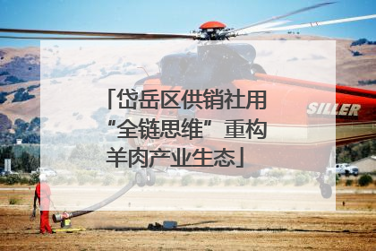 岱岳区供销社用“全链思维”重构羊肉产业生态