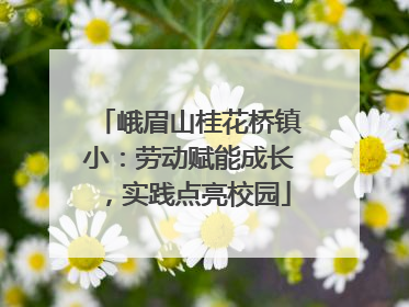 峨眉山桂花桥镇小：劳动赋能成长，实践点亮校园