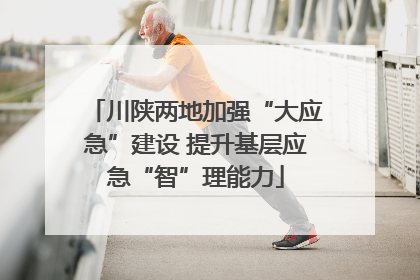 川陕两地加强“大应急”建设 提升基层应急“智”理能力