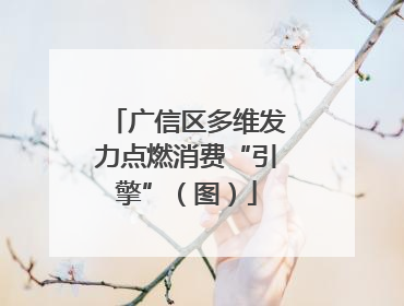 广信区多维发力点燃消费“引擎”（图）
