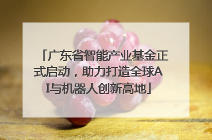 广东省智能产业基金正式启动，助力打造全球AI与机器人创新高地