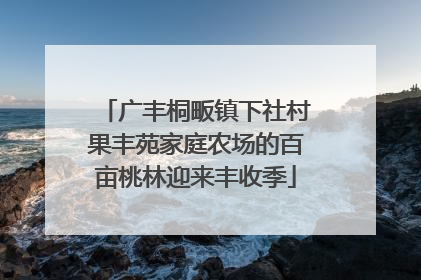 广丰桐畈镇下社村果丰苑家庭农场的百亩桃林迎来丰收季