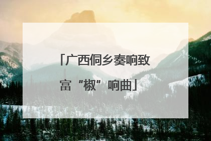 广西侗乡奏响致富“椒”响曲
