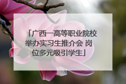 广西一高等职业院校举办实习生推介会 岗位多元吸引学生