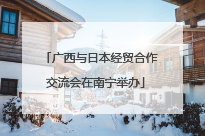 广西与日本经贸合作交流会在南宁举办