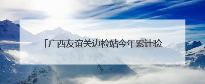 广西友谊关边检站今年累计验放出入境人员超150万人次