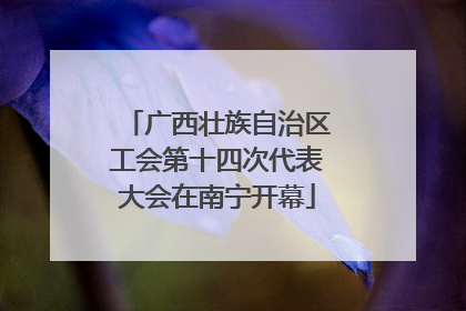广西壮族自治区工会第十四次代表大会在南宁开幕