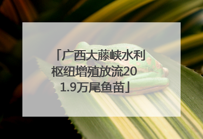 广西大藤峡水利枢纽增殖放流201.9万尾鱼苗