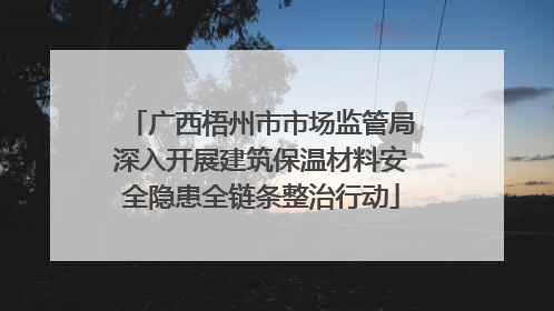 广西梧州市市场监管局深入开展建筑保温材料安全隐患全链条整治行动