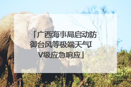 广西海事局启动防御台风等极端天气IV级应急响应