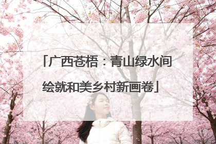 广西苍梧：青山绿水间绘就和美乡村新画卷