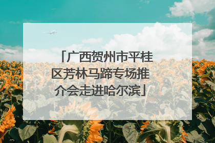 广西贺州市平桂区芳林马蹄专场推介会走进哈尔滨