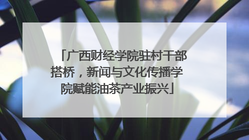 广西财经学院驻村干部搭桥，新闻与文化传播学院赋能油茶产业振兴