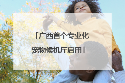 广西首个专业化宠物候机厅启用