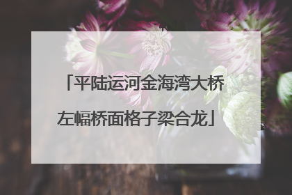平陆运河金海湾大桥左幅桥面格子梁合龙