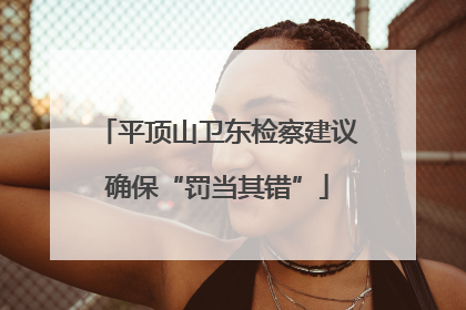 平顶山卫东检察建议确保“罚当其错”