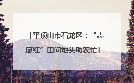 平顶山市石龙区：“志愿红”田间地头助农忙