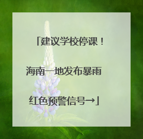 建议学校停课！海南一地发布暴雨红色预警信号→