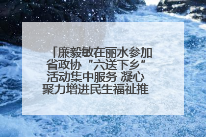 廉毅敏在丽水参加省政协“六送下乡”活动集中服务 凝心聚力增进民生福祉推进共同富裕