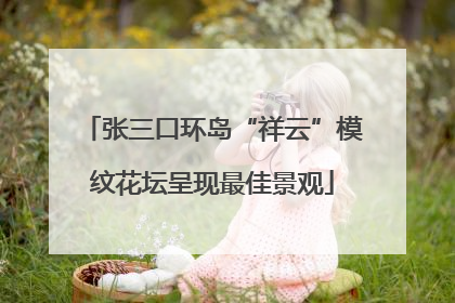 张三口环岛“祥云”模纹花坛呈现最佳景观