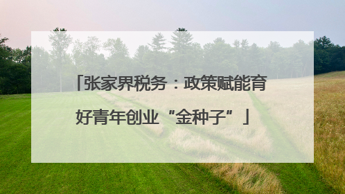 张家界税务：政策赋能育好青年创业“金种子”