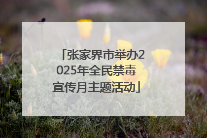 张家界市举办2025年全民禁毒宣传月主题活动