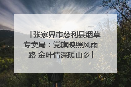 张家界市慈利县烟草专卖局：党旗映照风雨路 金叶情深暖山乡