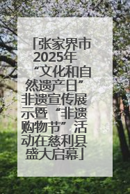 张家界市2025年“文化和自然遗产日”非遗宣传展示暨“非遗购物节”活动在慈利县盛大启幕