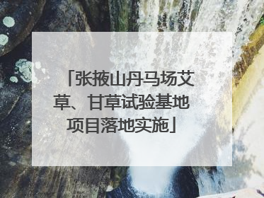 张掖山丹马场艾草、甘草试验基地项目落地实施