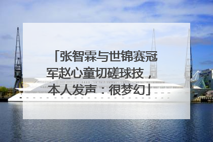 张智霖与世锦赛冠军赵心童切磋球技，本人发声：很梦幻