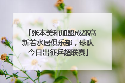 张本美和加盟成都高新若水居俱乐部，球队今日出征乒超联赛