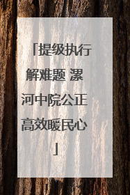 提级执行解难题 漯河中院公正高效暖民心