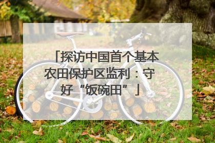 探访中国首个基本农田保护区监利：守好“饭碗田”