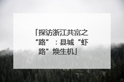 探访浙江共富之“路”：县城“虾路”焕生机