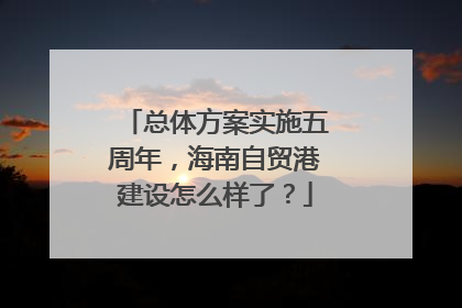 总体方案实施五周年，海南自贸港建设怎么样了？