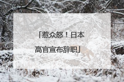 惹众怒！日本高官宣布辞职