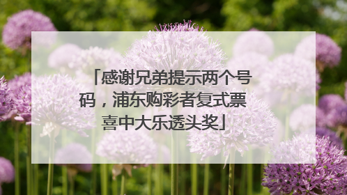 感谢兄弟提示两个号码，浦东购彩者复式票喜中大乐透头奖