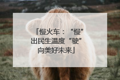 慢火车：“慢”出民生温度“驶”向美好未来
