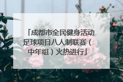 成都市全民健身活动足球项目八人制联赛（中年组）火热进行