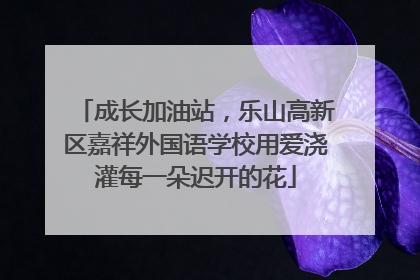 成长加油站，乐山高新区嘉祥外国语学校用爱浇灌每一朵迟开的花