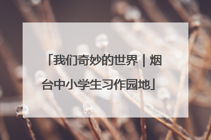 我们奇妙的世界｜烟台中小学生习作园地