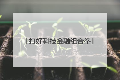 打好科技金融组合拳