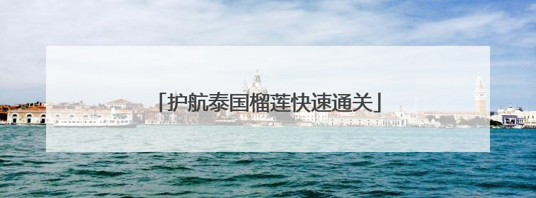 护航泰国榴莲快速通关