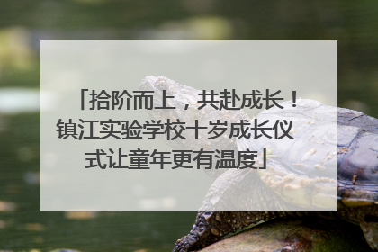 拾阶而上，共赴成长！镇江实验学校十岁成长仪式让童年更有温度