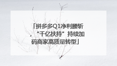 拼多多Q1净利腰斩，“千亿扶持”持续加码商家高质量转型