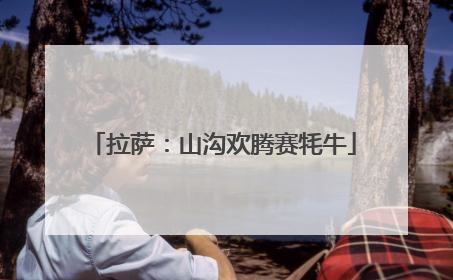 拉萨：山沟欢腾赛牦牛