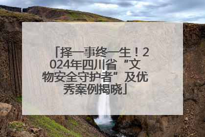 择一事终一生！2024年四川省“文物安全守护者”及优秀案例揭晓