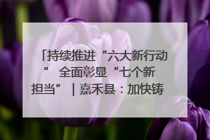 持续推进“六大新行动 ” 全面彰显“七个新担当”｜嘉禾县：加快铸造行业提档升级 助力绿色高质量发展